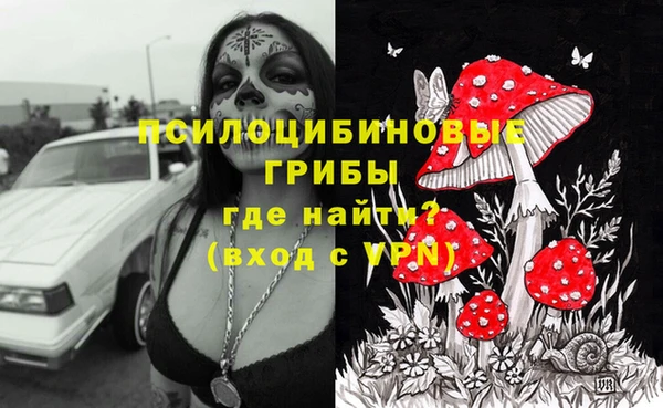 молекула духа Горно-Алтайск